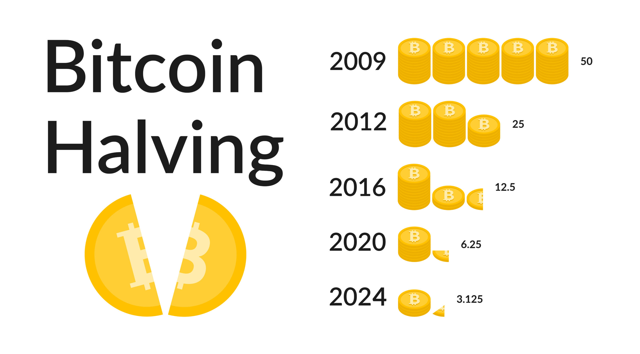 Bitcoin Halving 2024 vector